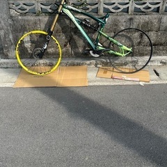 LAPPIERRE  FROGGY318