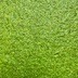 ランキングキーワードに紐づく投稿画像-メダカ