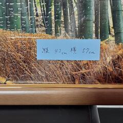 ジグソーパズル完成品　京都　竹林の画像