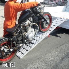 1点　アルミラダー フラット　アストロプロダクツの画像
