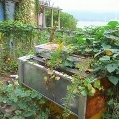 庭木の伐採なら、お庭職人110番まで！ − 宮城県