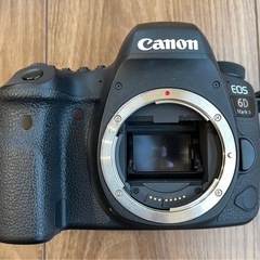 Canon EOS 6D Mark II ＋EF24-70 F4L IS USM レンズの画像