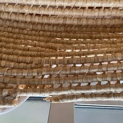 ベビークーファン
の画像