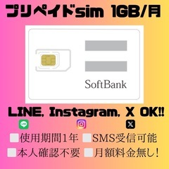 プリペイドSIMカード　データ通信 1 GB/月　SMS受信可！...
