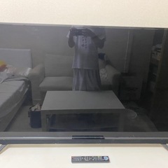 テレビ