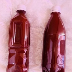 光合成細菌　PSB（自家栽培）
