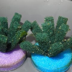 メダカ　予約済　五式god 　卵　１００個位　卵トリーナー付きの画像