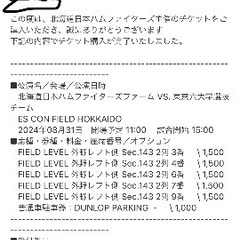 8/31 日ハム　エスコン