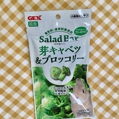 未開封 うさぎ おやつ  サラダバー芽キャベツ&ブロッコリー