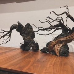 水槽用レイアウト品　熱帯魚　メダカ