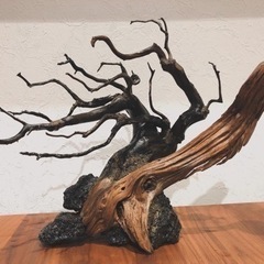 水槽用レイアウト品　熱帯魚　メダカ