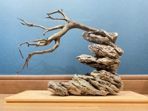 水槽用レイアウト品　熱帯魚　メダカ