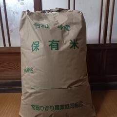 令和5年度　茨城県産コシヒカリ玄米　30kg3️⃣