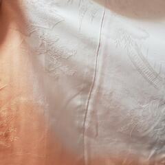 正絹着物、色無地の画像