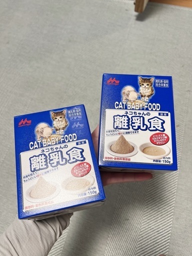 子猫の離乳食