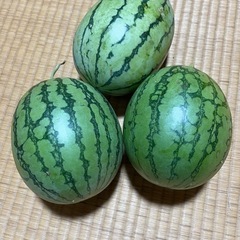 黄&赤小玉スイカ3玉4kgじゃく