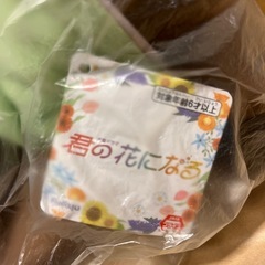 君の花になるぬいぐるみの画像