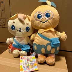 新品やころ　ルチータ　ぬいぐるみセット