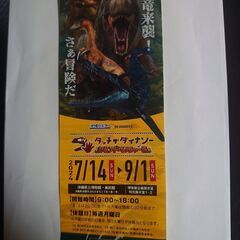 タッチザダイナソー招待券（1枚）