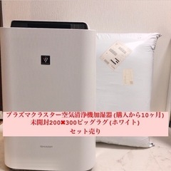 空気清浄機と未開封ビッグカーペットラグ