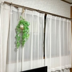 ナフコ　レースカーテン　2枚組　美品