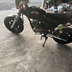 エイプ50FIの画像