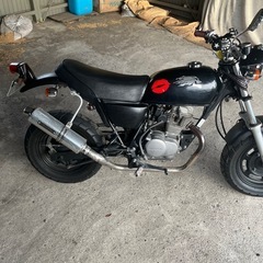 エイプ50FIの画像