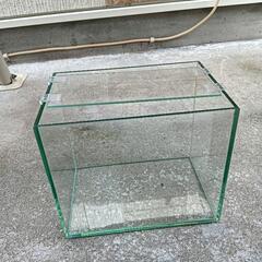 ガラス水槽②