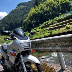 カワサキ kawasaki zzr250 