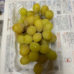 シャインマスカット