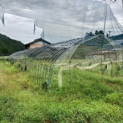 ビニールハウス　骨組