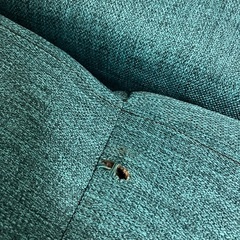 ニトリ ソファベッドの画像