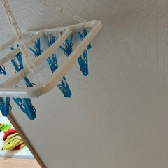 洗濯ばさみ　ピンチの画像