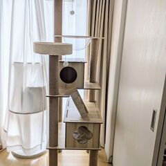 キャットタワー　美品