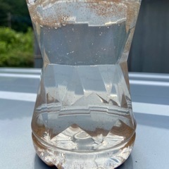 熱帯魚メダカ生き餌ブラインシュリンプ