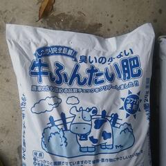 新品未開封 １０００円