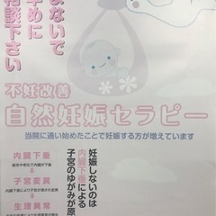 不妊症改善❗️❗️自然妊娠セラピー❗️&  妊産婦さんのお身体ケア、マタニティ整体❗️通常1回3278円が施術5回分で10780円❗️ - 飯塚市