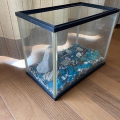 水槽
