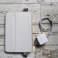 iPadmini 第一世代 Wi-Fiモデル 16GBの画像