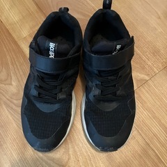 19センチ