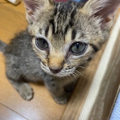 ありがとうございました。