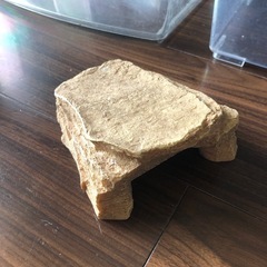 虫カゴ、飼育ケースなどセットの画像
