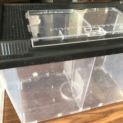 虫カゴ、飼育ケースなどセットの画像