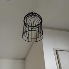 鳥かごのオブジェ