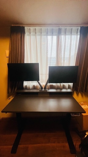 flexispot デスクとLG モニター2点セット