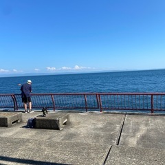 釣り仲間募集🎣‼️