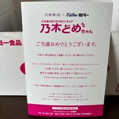 乃木どめちゃん　松村沙友理の画像
