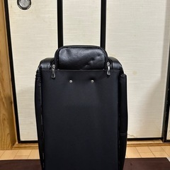 TIGORA キャリーバッグ   の画像