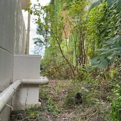 好きな日にちで！アパートのゴミ拾い、除草、清掃単発アルバイト　現...