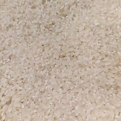 令和5年産神奈川県産米はるみ　玄米　米の画像